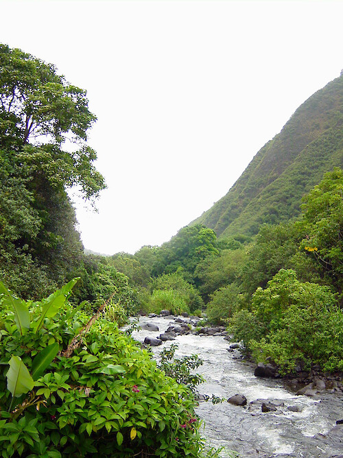 This stream runs through Haleakala National Park on Maui