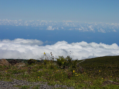 View from about mid-way up Haleakala volcano looking down at the clouds and the valley below 