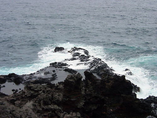 Tide pools form in some of the lava rocks that make up a portion of Maui's coast. 