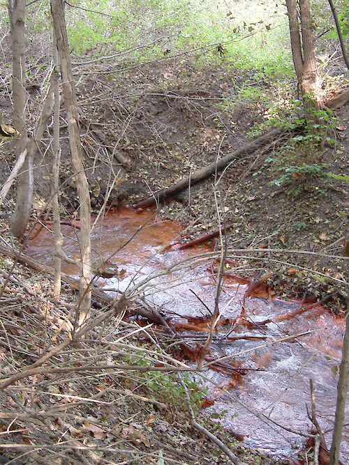 Acidic mine tailings upwell here from an underground source and flow downstream overland