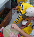 Water samples from the Patuxent River are prepared for analysis on board the R/V Aquarius 