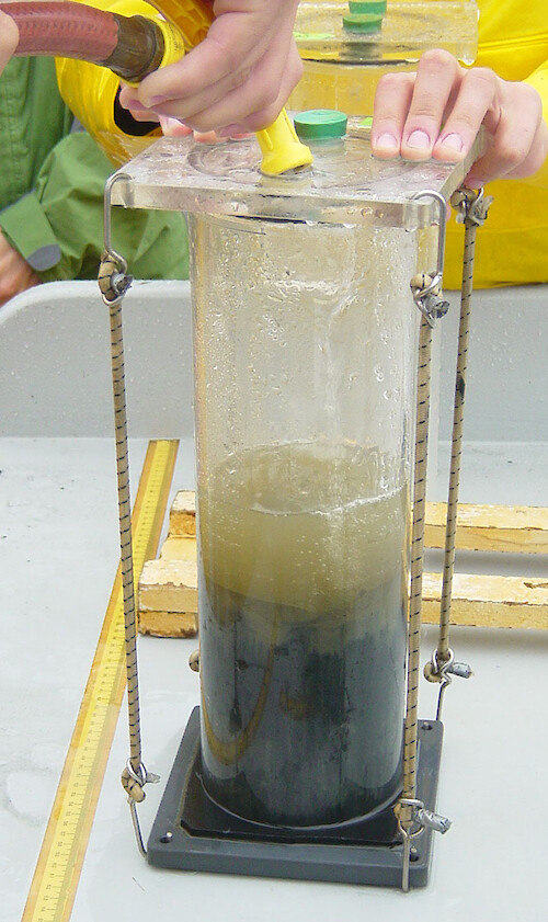A sediment core has been collected and is being prepared for storage and analysis by carefully filling the core with water from the sample site to minimize disturbance. 