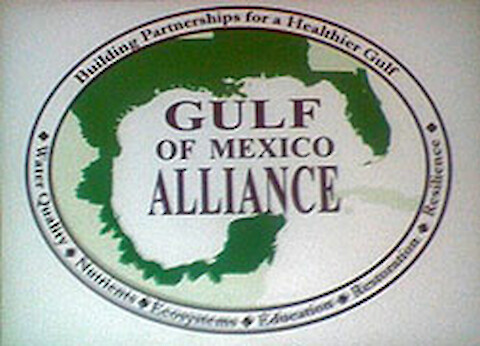 Presentation at the Joint Meeting of the Gulf of Mexico Alliance and Hypoxia Task Force.