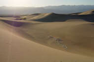 Mesquite Flat Dunes. Death Valley has quite a variety of topography and geologic formations.