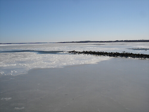 A jetty at Horn Point Laboratory juts into the frozen Choptank River.