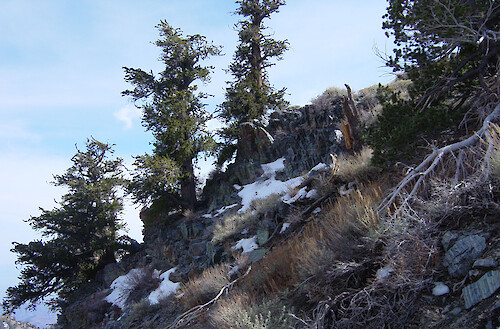 Snow can be seen in March at high altitudes on the ascent of Telescope Peak. Death Valley has quite a variety of topography and geologic formations.