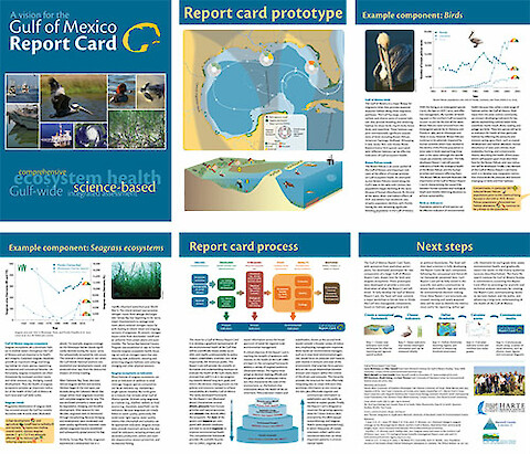 A vision for the Gulf of Mexico Report Card.