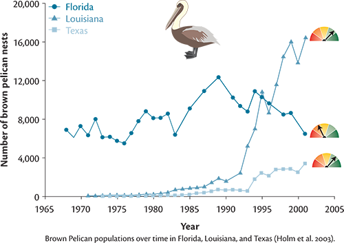 Pelican graph
