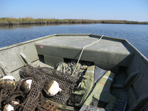 Cages used for deploying oyster biological indicators in Monie Bay component of Chesapeake Bay National Estuarine Research Reserve are collected in the small boat. 