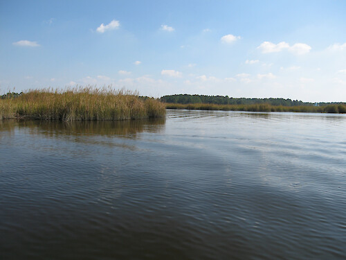 Monie Creek, part of the Chesapeake Bay National Estuarine Research Reserve