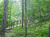 A bridge along a trail in Canaan Valley State Park. 