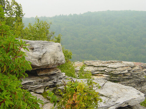 Lookout at Blackwater Falls State Park 