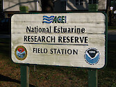 ACE Basin National Estuarine Research Reserve, South Carolina
