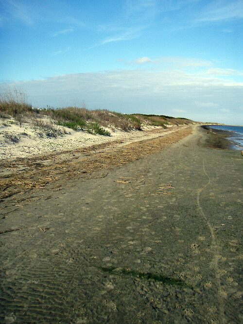 Beaches by Charleston, South Carolina