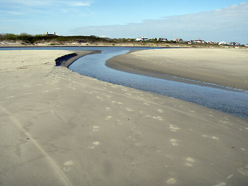 Development remains behind the dunes, while overwash shifts sands along this beach