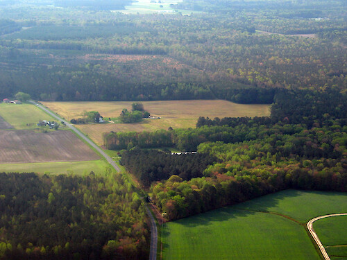 Forest and agriculture near Salisbury.
