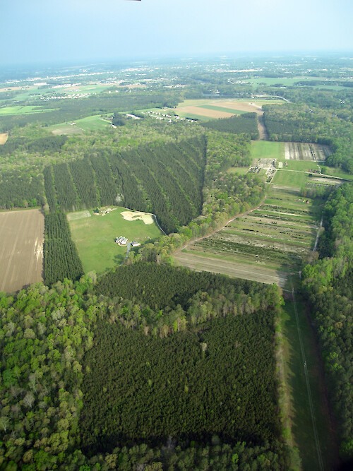 Tree farms, fields and forest in Wicomico County
