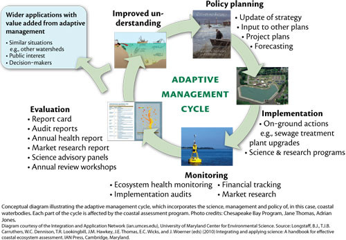 The adaptive management cycle is the idea that to create an efficient project, one must monitor progress, improve understanding, and adapt the project accordingly over time. Conceptual diagram from the IAN image Library.