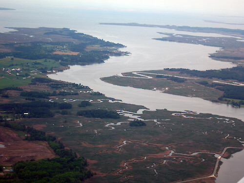 Marshes line the sides of the Wicomico River near its mouth, where it meets with Ellis Bay to the north and Monie Bay to the south