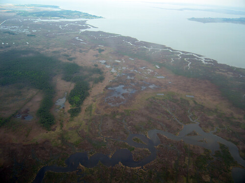 Little Creek, off Monie Bay, a component of the Chesapeake Bay National Estuary Research Reserve