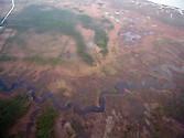 Wetlands surround Little Creek, off Monie Bay, a component of the Chesapeake Bay National Estuarine Research Reserve