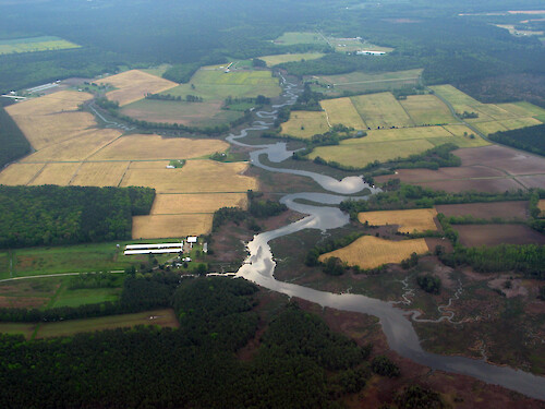 Chicken farms and agricultural fields back up to wetlands on a Wicomico creek.