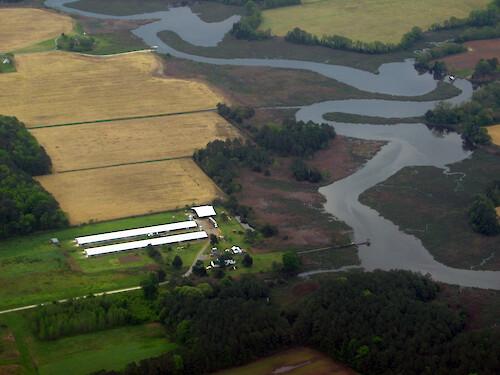 Chicken farm and agricultural fields bordering wetlands on a creek off the Wicomico River.