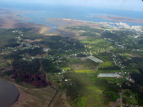 Agriculture, residential homes, wetlands, and forest cover outside of Crisfield