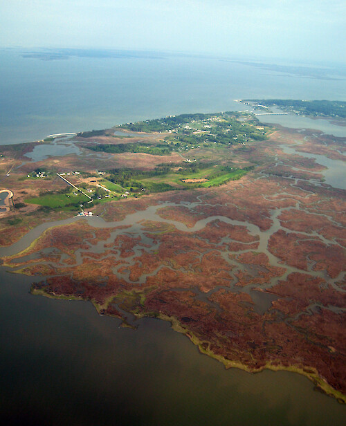 The town of Deal Island lies northwest of Deal Island Marsh. 