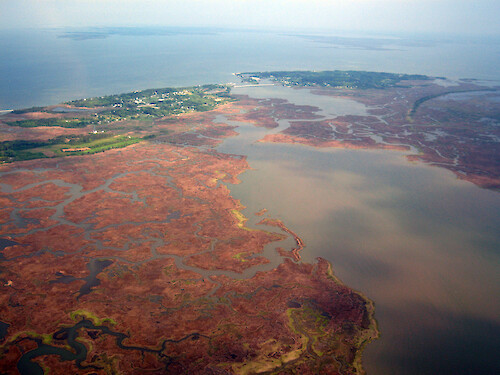 Looking northwest up Laws Thorofare. Deal Island Marsh and Straight Gut are situated on the western side. Tangier Sound is in the northern background.