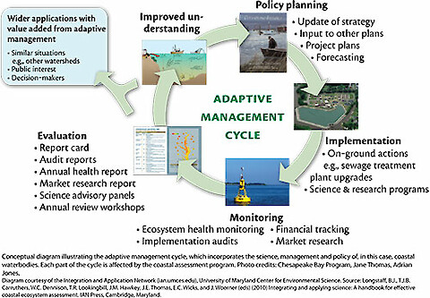 The adaptive management cycle from 