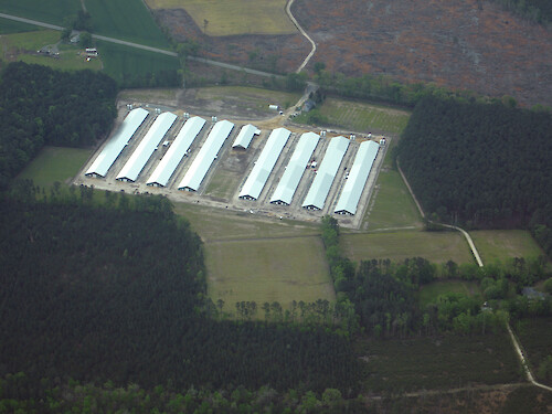 Aerial view of chicken houses