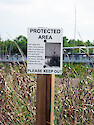 Sign preventing disturbance of natural habitat including sea oats and other dune plants.