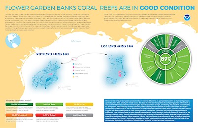 Coral reef condition: A status report for the Flower Garden Banks