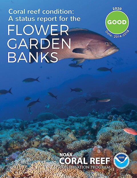 Coral reef condition: A status report for the Flower Garden Banks (Page 1)