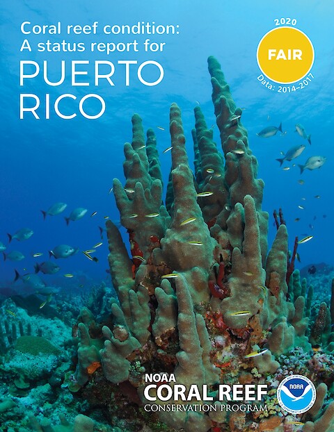 Coral reef condition: A status report for Puerto Rico (Page 1)