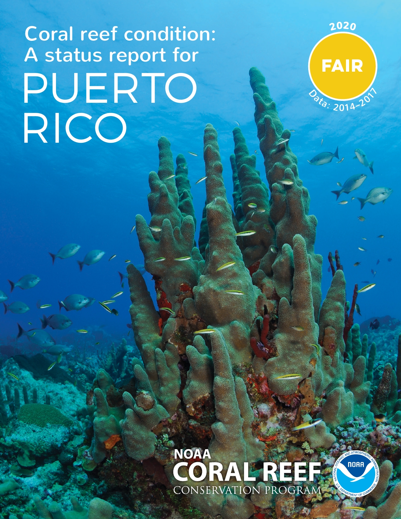 coral-reef-condition-a-status-report-for-puerto-rico-publications