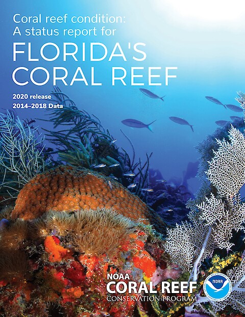 Coral reef condition: A status report for Florida