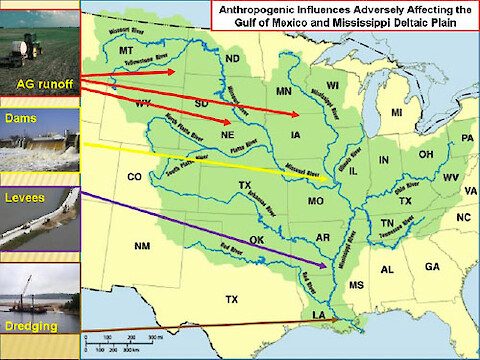 Figure 1. Some anthropogenic impacts on the Mississippi Deltaic Plain. Notice the very large extent of the watershed, shown in green.