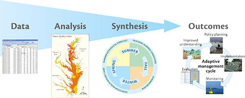 Synthesis diagram