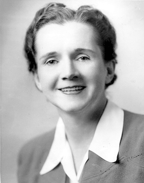 Rachel Carson, author of Silent Spring