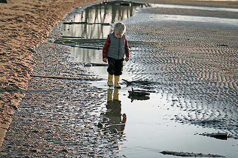 Walking through the beach during low tide on the Chesapeake Bay. Credit: Melissa Jo Keever Bridges