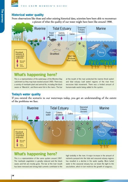 Conceptual diagrams of water quality