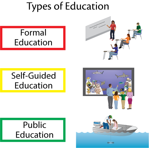 Types of education diagram