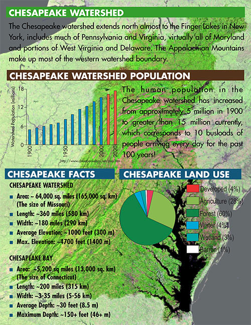 Chesapeake facts