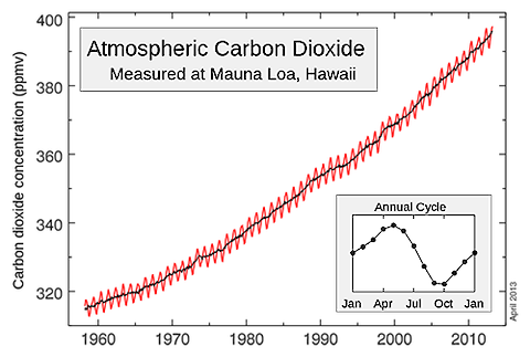 The Keeling Curve: Atmospheric carbon dioxide concentrations as measured at Mauna Loa Observatory. Source: Wikipedia.