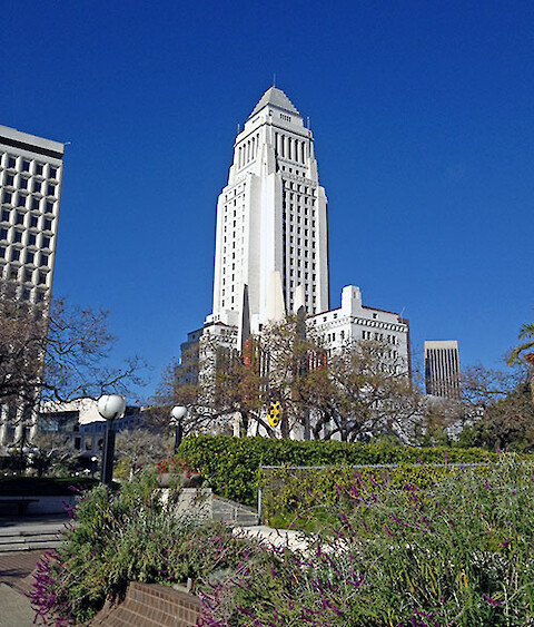 Los Angeles City Hall near the 'rising groundwater' section of the Los Angeles River, providing drinking water to the original inhabitants.