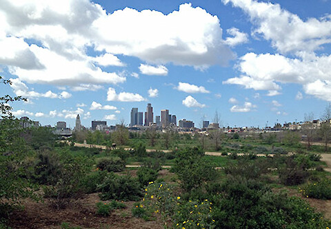 Los Angeles State Historic Park ('The Cornfield') with the downtown Los Angeles skyline in the background.