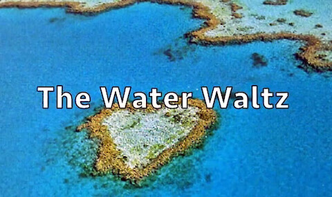 The Water Waltz