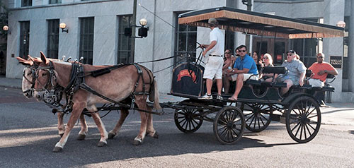 Carriage-ride